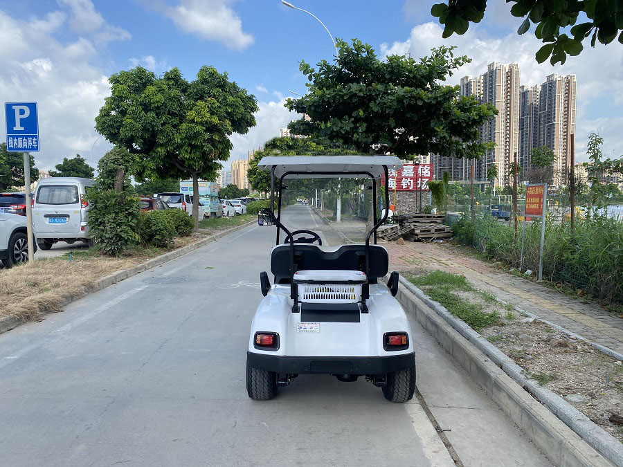 2座电动巡逻车小区物业管理街道办巡逻专用车